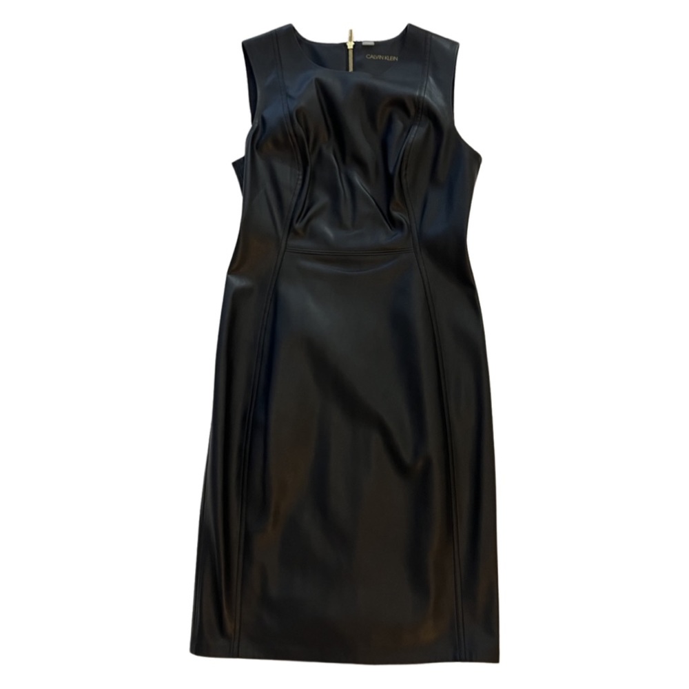 Calvin Klein Dress.